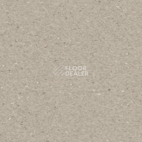 Линолеум Tarkett iq Granit Acoustic GREY BEIGE фото 1 | FLOORDEALER